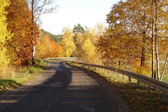 Brzeźno Szlacheckie And Neighbourhood