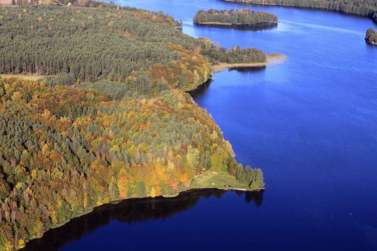 Umgebung des Brzeźna Szlacheckiego (dt. Adlig Breisen)