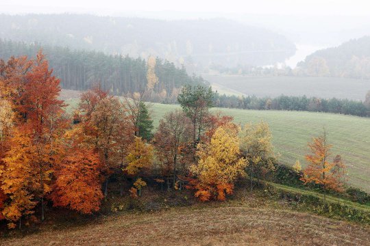 Okolice Brzeźna Szlacheckiego