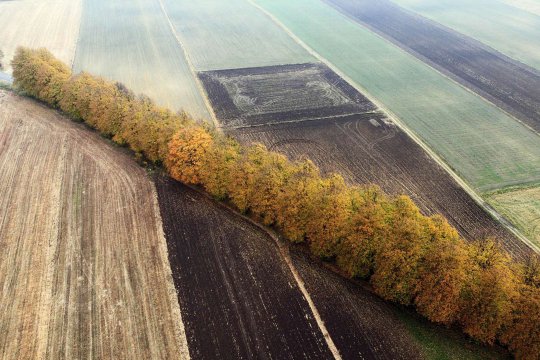 Umgebung des Brzeźna Szlacheckiego (dt. Adlig Breisen)