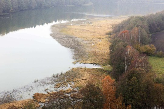 Umgebung des Brzeźna Szlacheckiego (dt. Adlig Breisen)