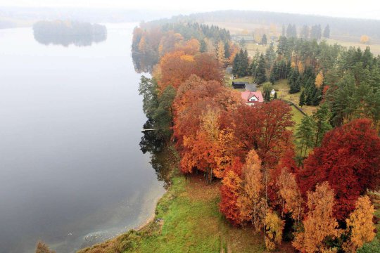 Umgebung des Brzeźna Szlacheckiego (dt. Adlig Breisen)