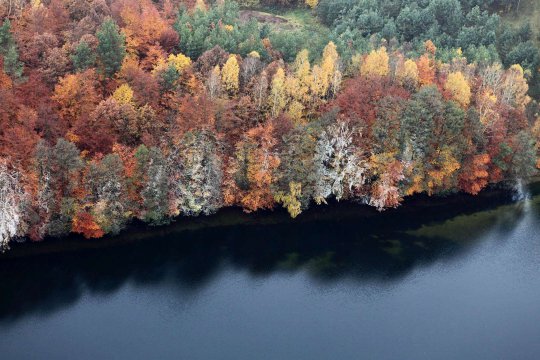 Umgebung des Brzeźna Szlacheckiego (dt. Adlig Breisen)