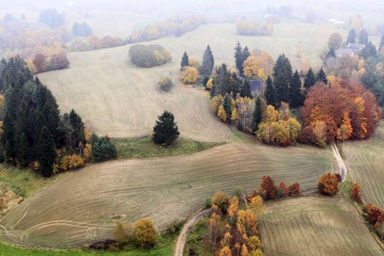 Okolice Brzeźna Szlacheckiego