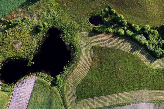 Umgebung des Brzeźna Szlacheckiego (dt. Adlig Breisen)