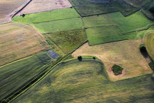 Umgebung des Brzeźna Szlacheckiego (dt. Adlig Breisen)