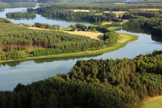 Umgebung des Brzeźna Szlacheckiego (dt. Adlig Breisen)