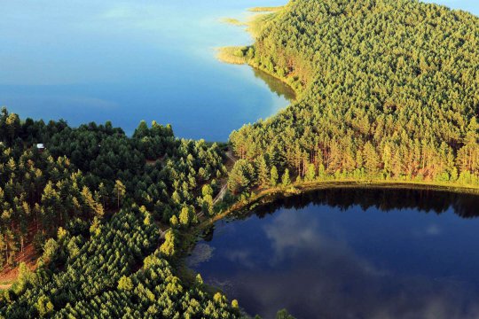 Umgebung des Brzeźna Szlacheckiego (dt. Adlig Breisen)