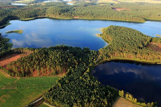 Umgebung des Brzeźna Szlacheckiego (dt. Adlig Breisen)