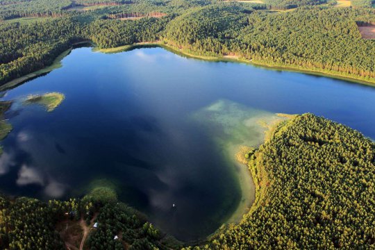 Umgebung des Brzeźna Szlacheckiego (dt. Adlig Breisen)