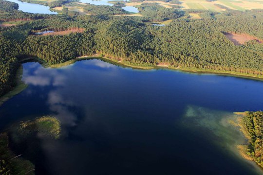 Okolice Brzeźna Szlacheckiego