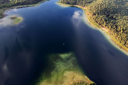 Umgebung des Brzeźna Szlacheckiego (dt. Adlig Breisen)